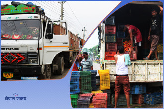 पूर्वीनाकाबाट गोलभेँडाको आयात ९३२ प्रतिशतले बढ्यो